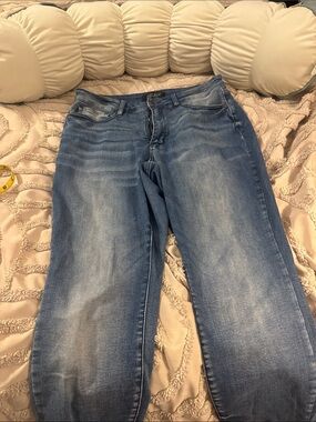 Judy Blue Light Wash Skinny Jeans
